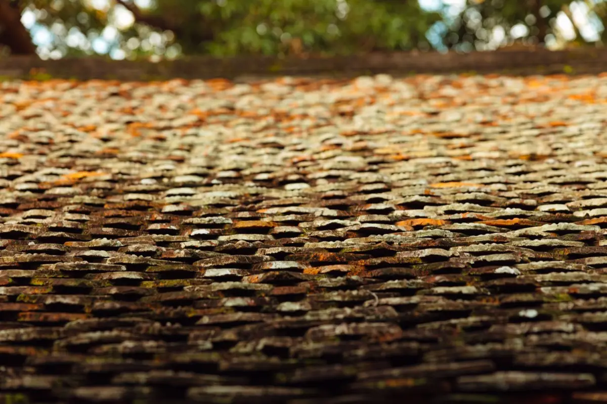 Aging shingle roof with moss growth and granule loss in Baltimore, MD